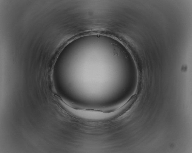 X0000093561257200710151100