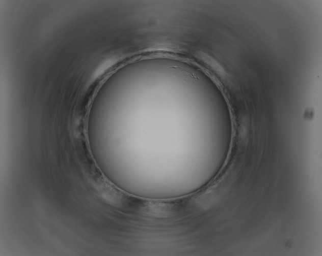 X0000093561258200710151100