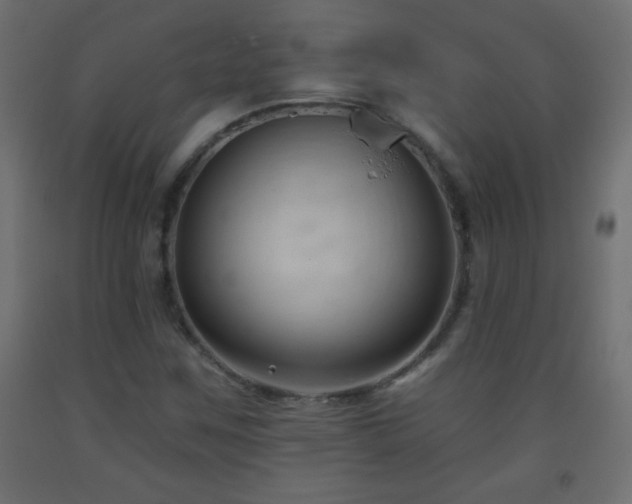 X0000093561259200710151100
