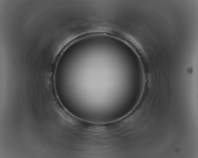 X0000093561260200710151100