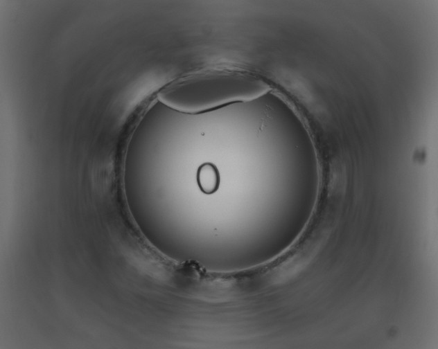X0000093561261200710151100