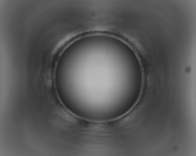 X0000093561262200710151100