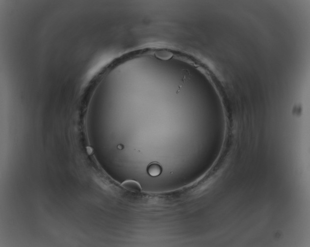 X0000093561263200710151100