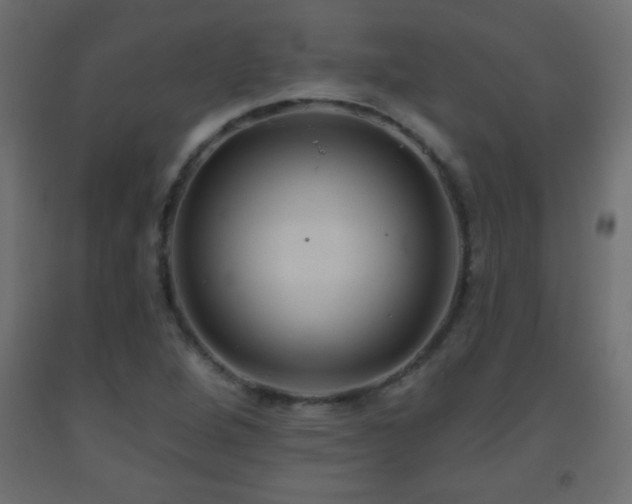 X0000093561264200710151100