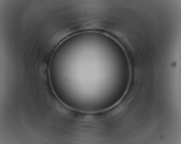 X0000093561265200710151100