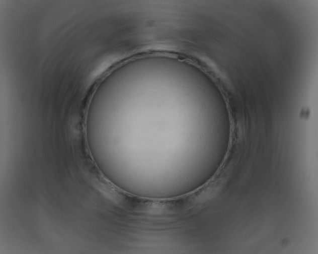 X0000093561266200710151100