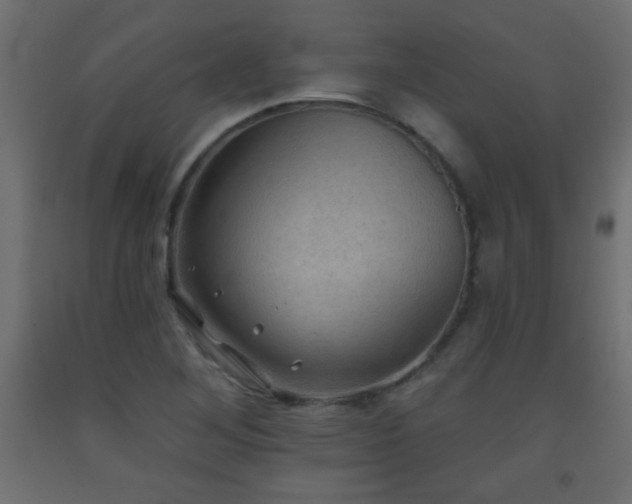X0000093561268200710151100
