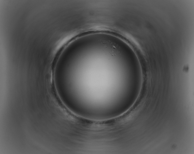 X0000093561269200710151100