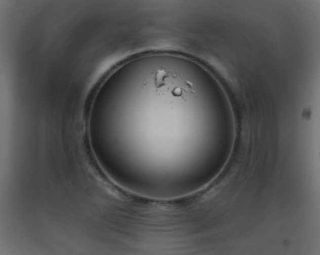 X0000093561270200710151100