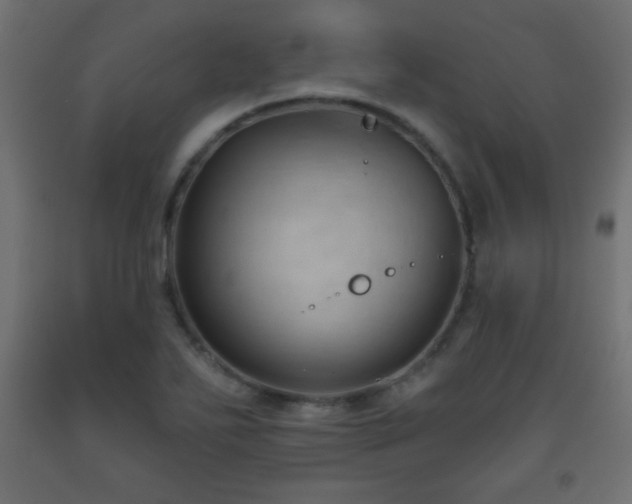 X0000093561271200710151100