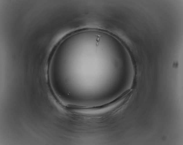 X0000093561272200710151100