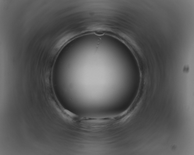 X0000093561273200710151100