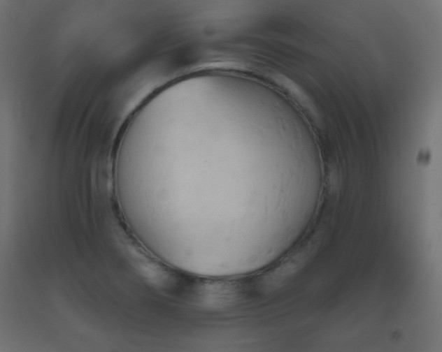 X0000093561274200710151100
