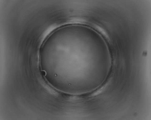 X0000093561275200710151100
