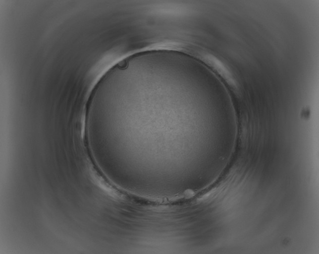X0000093561276200710151100