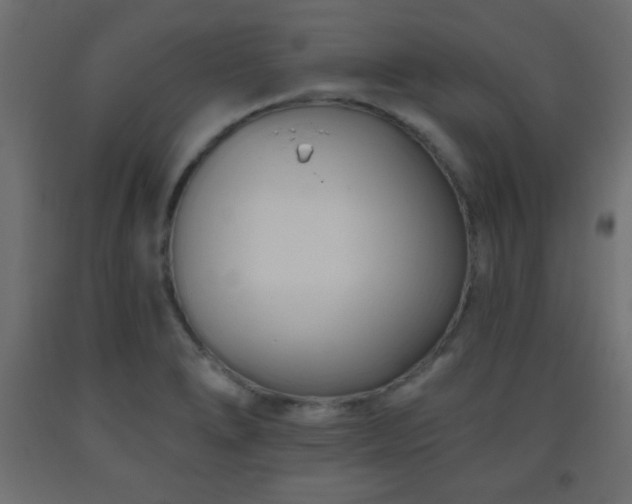 X0000093561278200710151100
