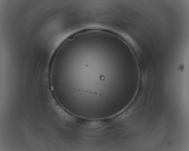 X0000093561279200710151100