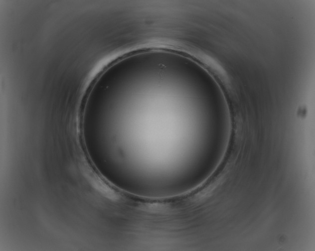 X0000093561280200710151100