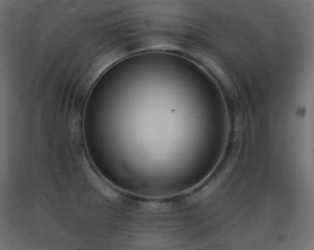 X0000093561281200710151100