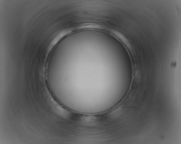 X0000093561282200710151100