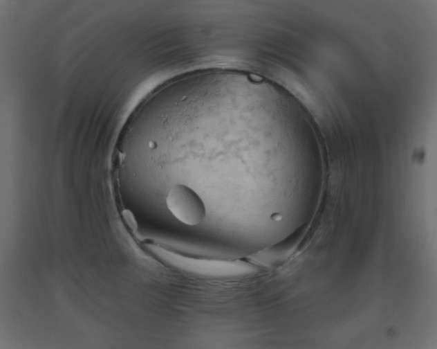 X0000093561283200710151100