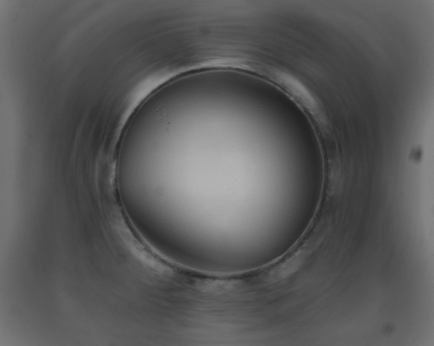 X0000093561284200710151100