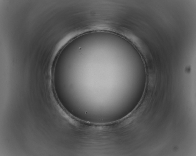 X0000093561286200710151100
