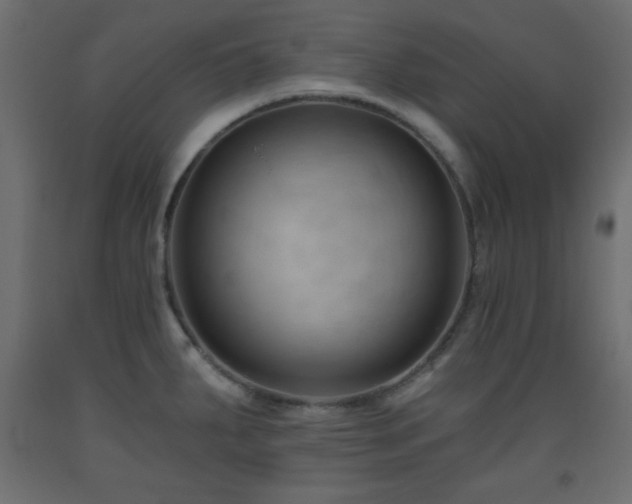 X0000093561287200710151100