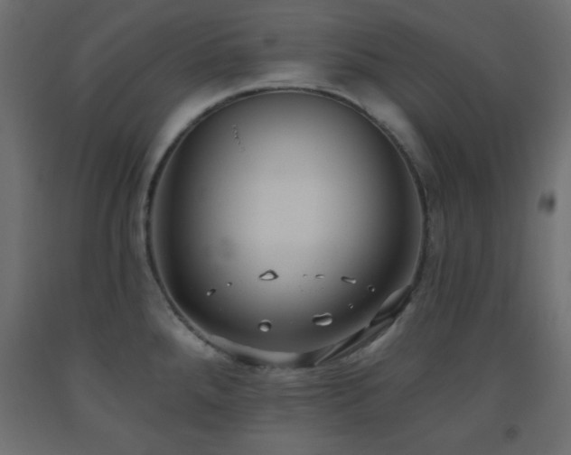 X0000093561288200710151100