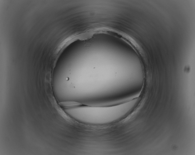 X0000093561289200710151100