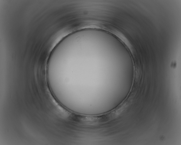 X0000093561290200710151100