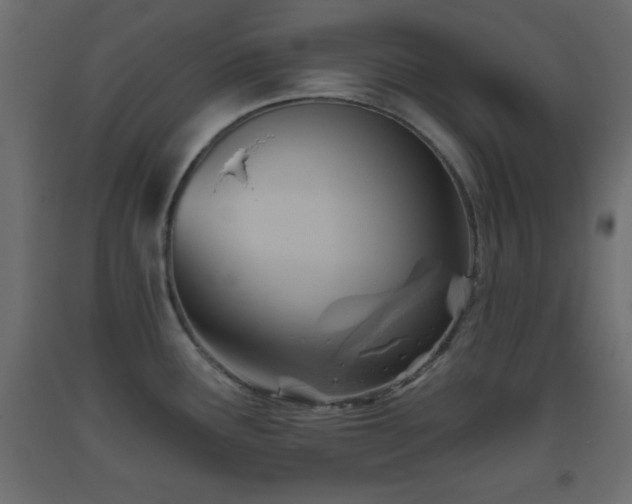 X0000093561291200710151100