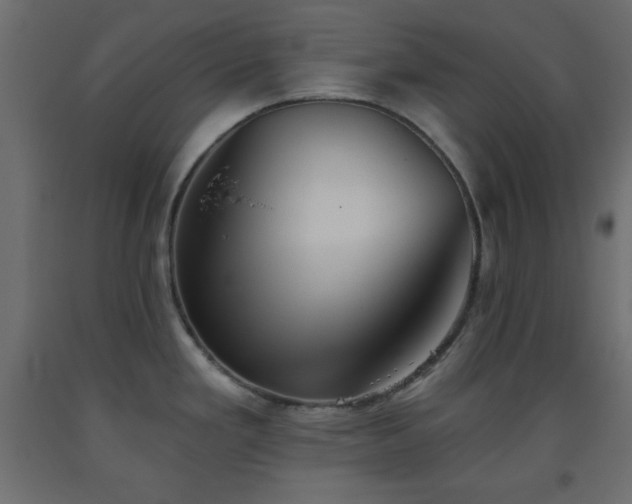 X0000093561293200710151100