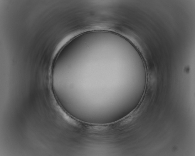X0000093561294200710151100