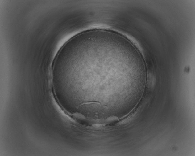 X0000093561295200710151100