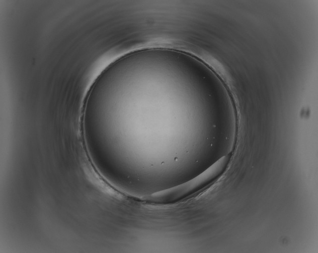 X0000093561296200710151100