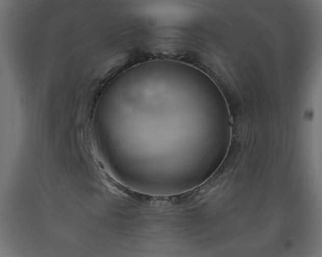 X0000093561297200710151059