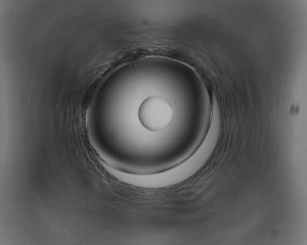 X0000093561298200710151059