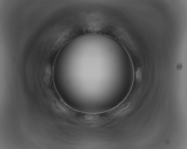 X0000093561299200710151059