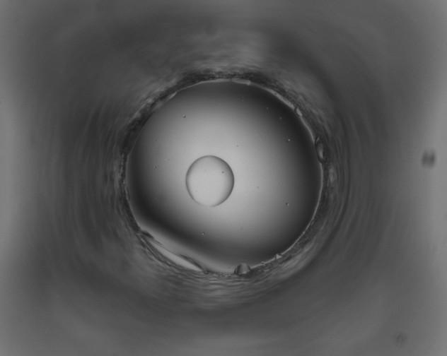 X0000093561300200710151059