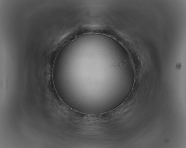X0000093561301200710151059