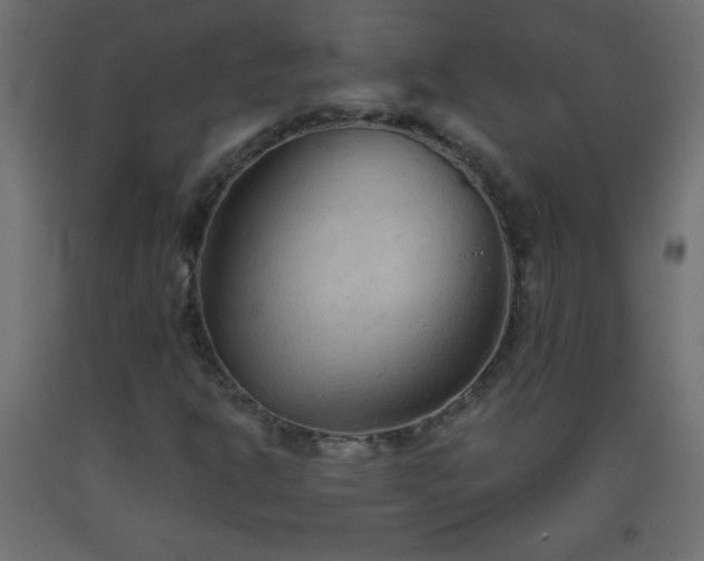 X0000093561302200710151059