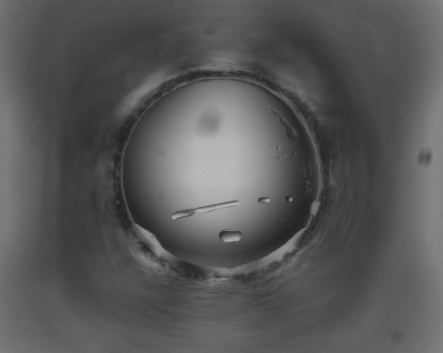 X0000093561304200710151059