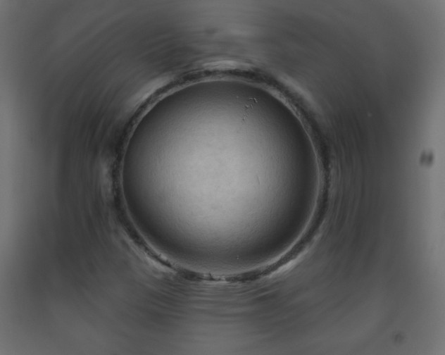 X0000093561305200710151059