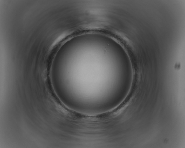 X0000093561306200710151059