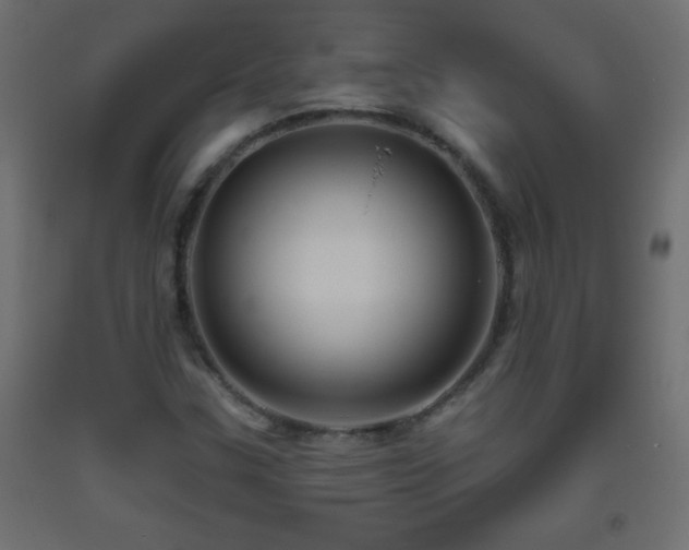 X0000093561307200710151059