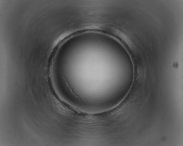 X0000093561308200710151059
