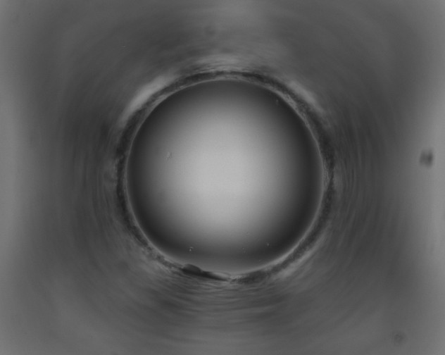 X0000093561309200710151059