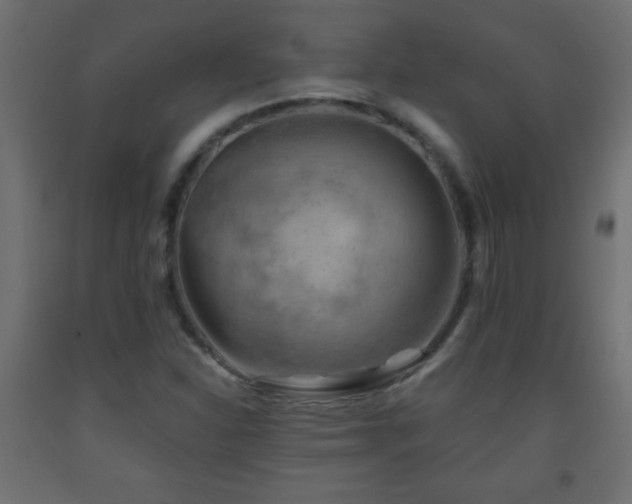 X0000093561310200710151059