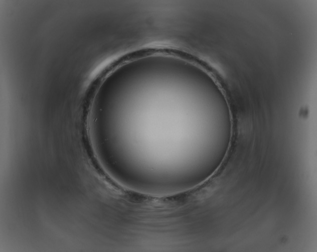 X0000093561311200710151059